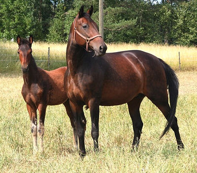 Mary Choctaw
